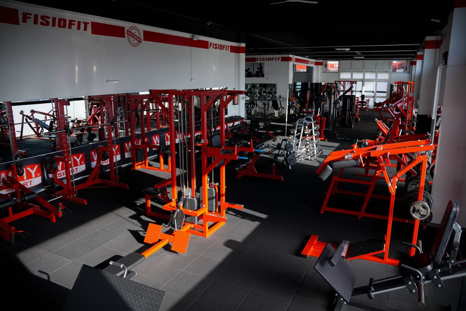 Macchinari professionali per il bodybuilding nella sala attrezzi Fisiofit