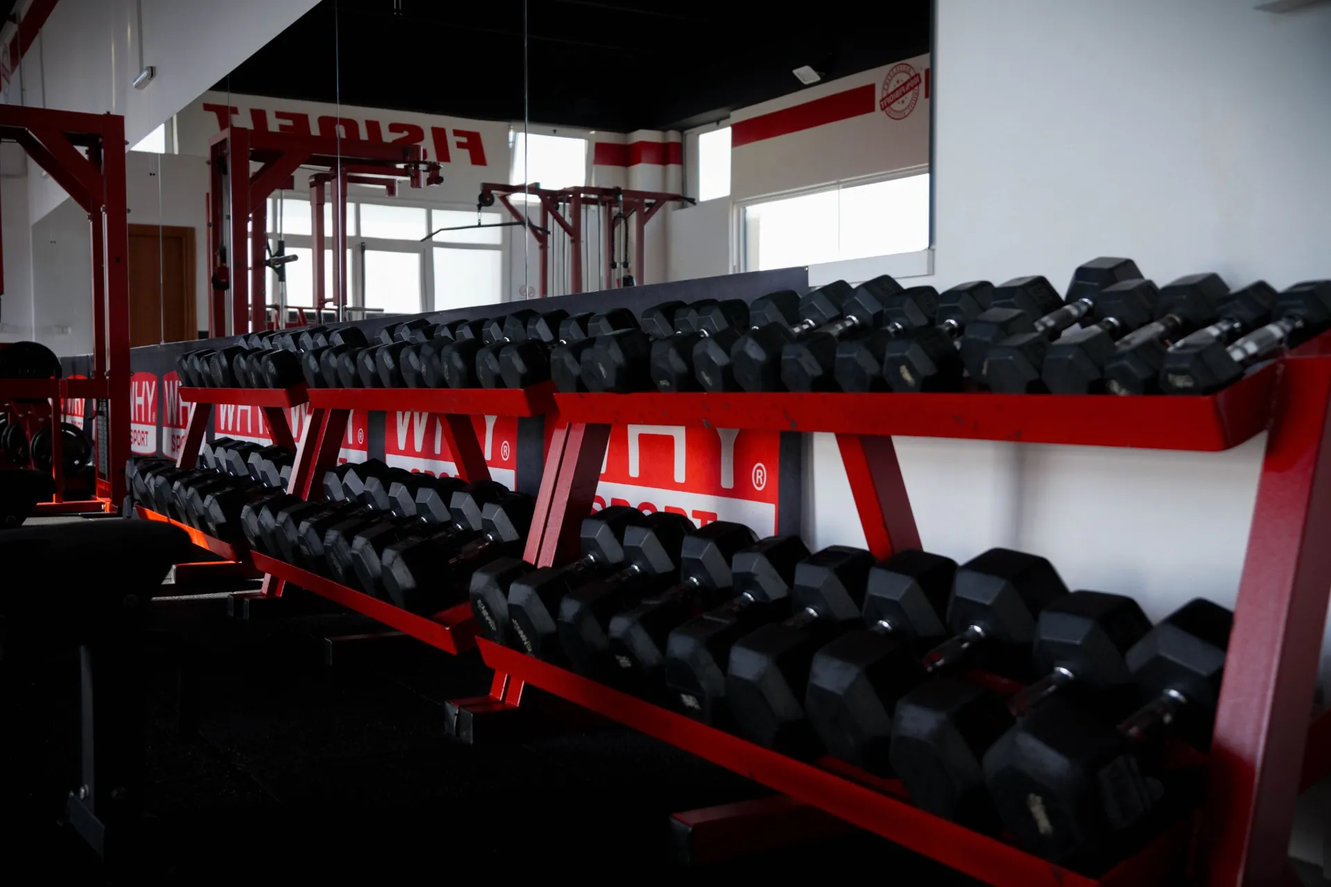 Rack manubri professionali FISIOFIT – serie completa