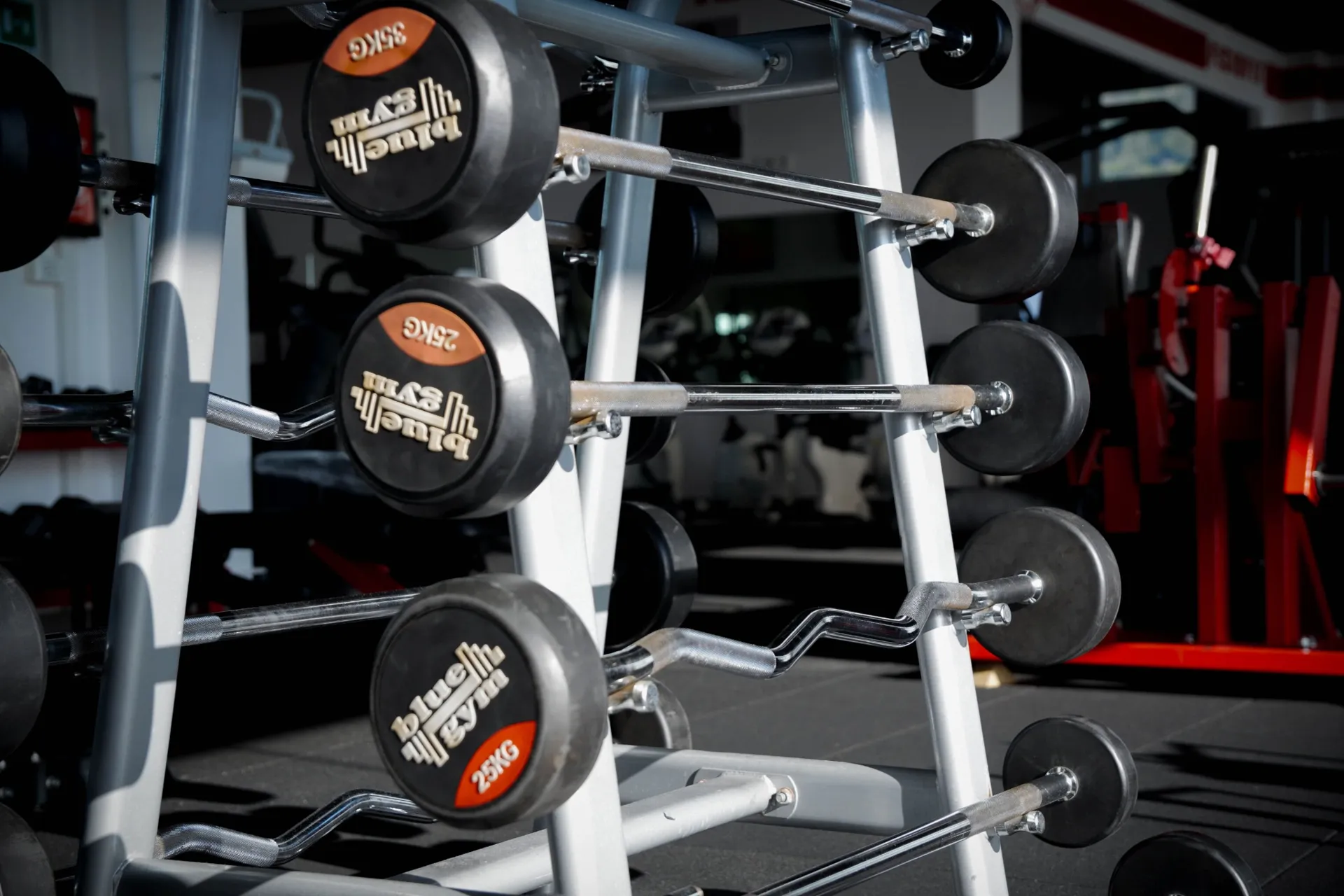 Bilancieri e curl bar FISIOFIT – zona pesi liberi