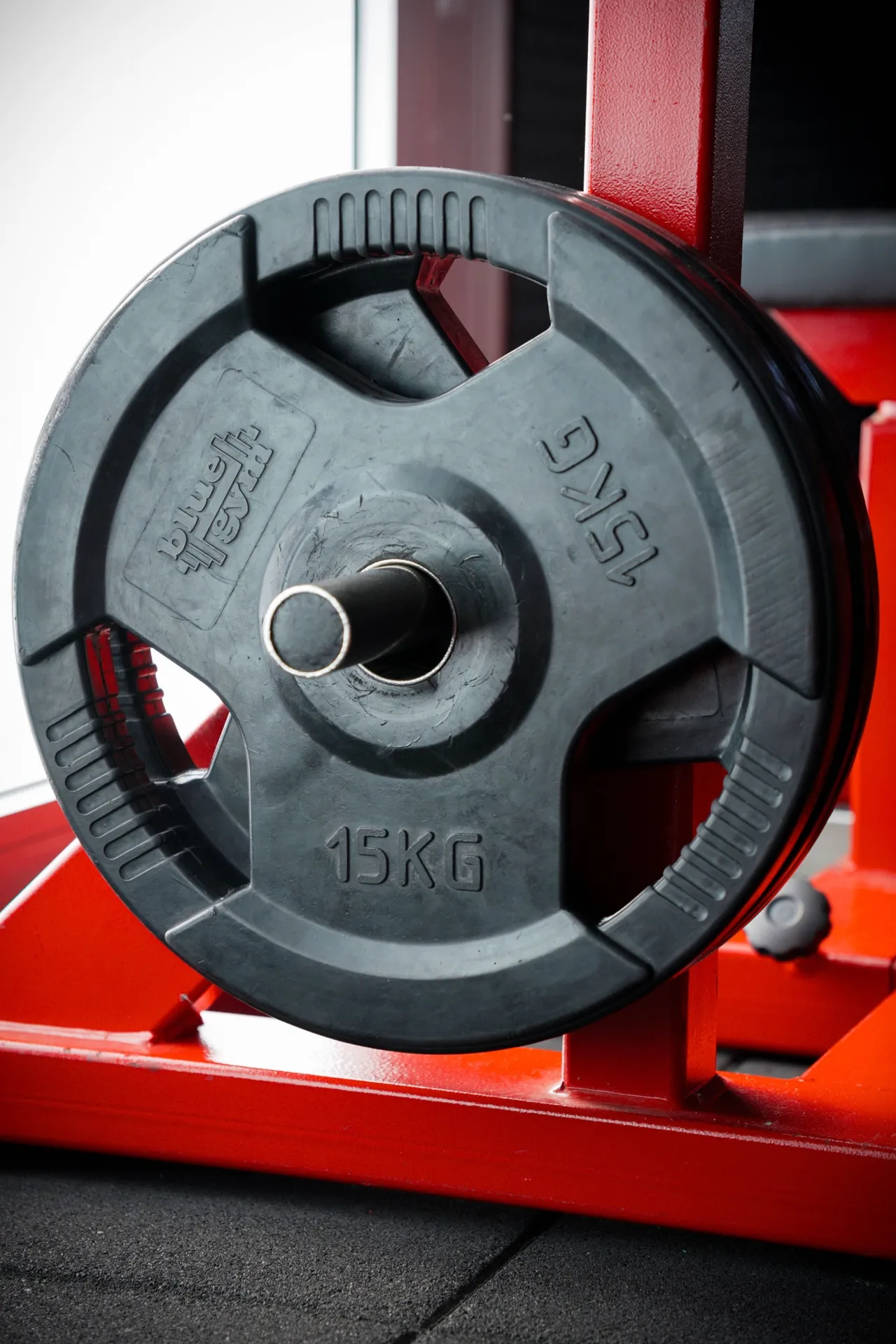 Disco olimpico 15kg FISIOFIT – pesi liberi di qualità