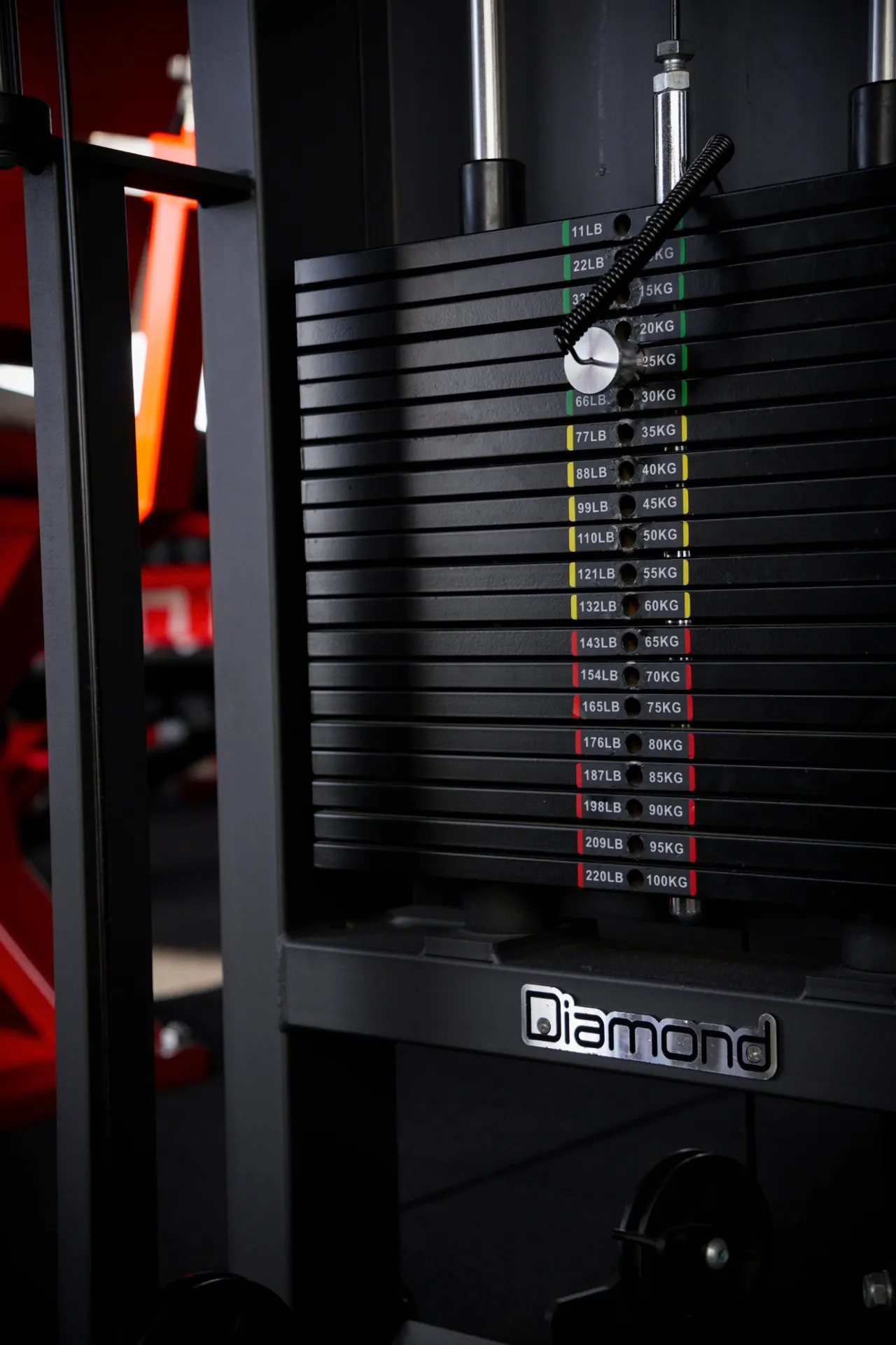 Pila pesi Diamond fino a 100kg – macchine alta qualità FISIOFIT