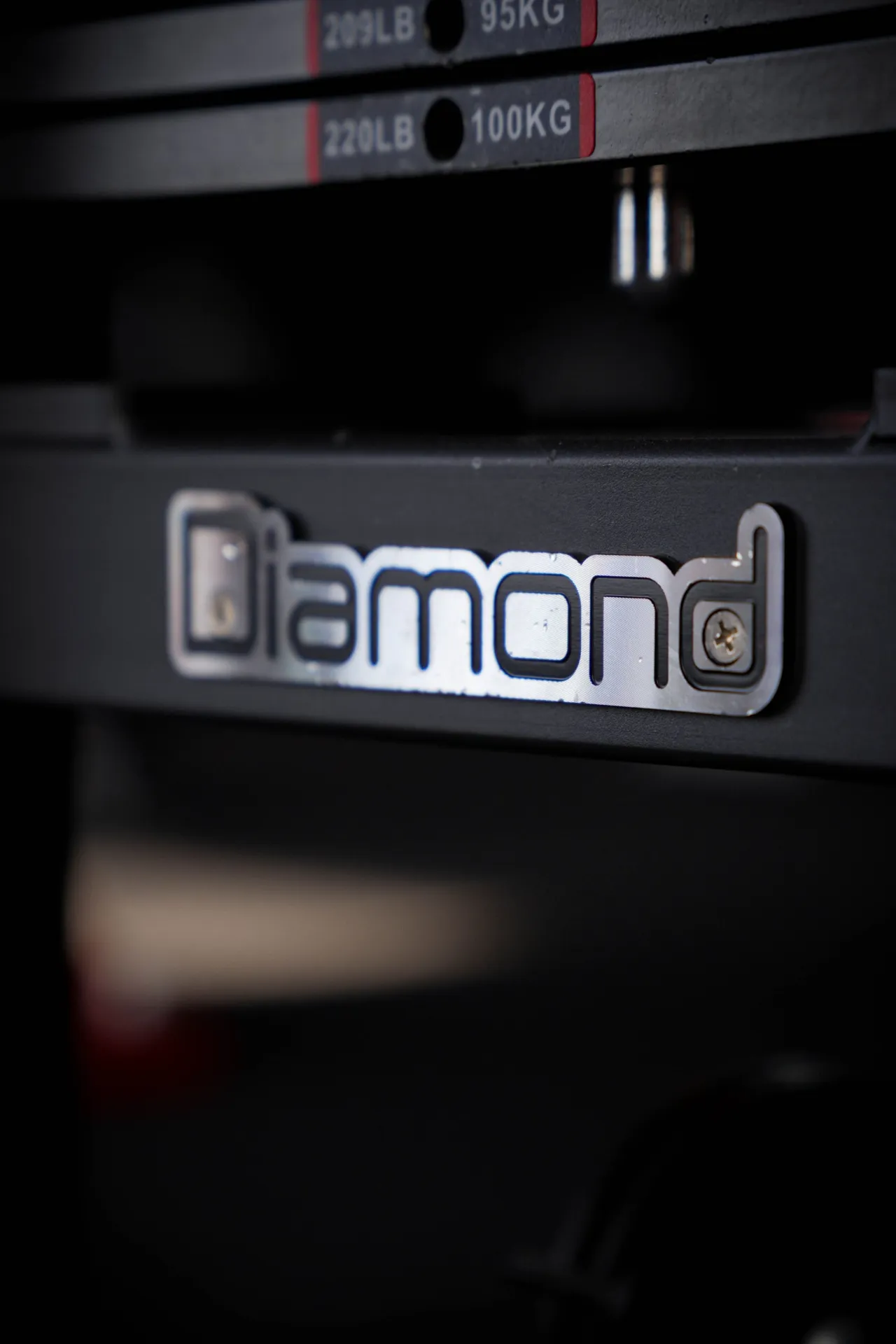 Dettaglio rack pesi Diamond FISIOFIT – dischi 95kg e 100kg